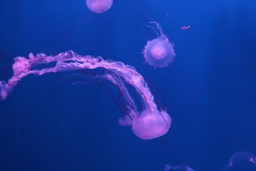 559560