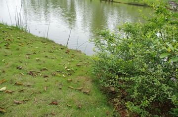 IMGP0041.JPG