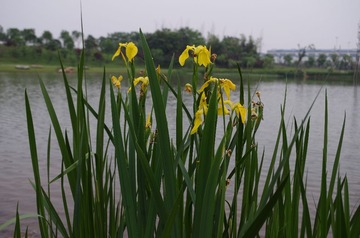 IMGP0023.JPG