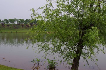 IMGP0024.JPG