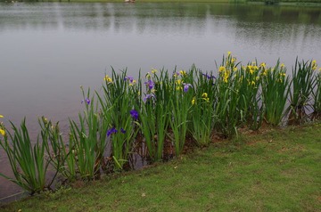 IMGP0026.JPG