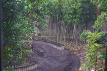 IMGP0016.JPG