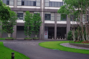 IMGP0011.JPG
