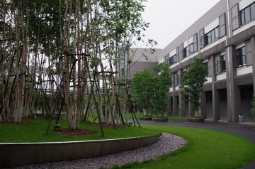 IMGP0013.JPG