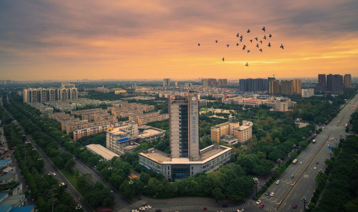 新都大v西南石油大学