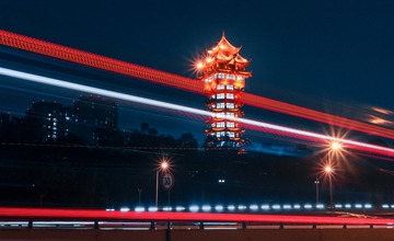 _DSC0494修