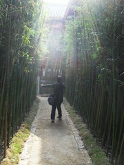 阳光洒下