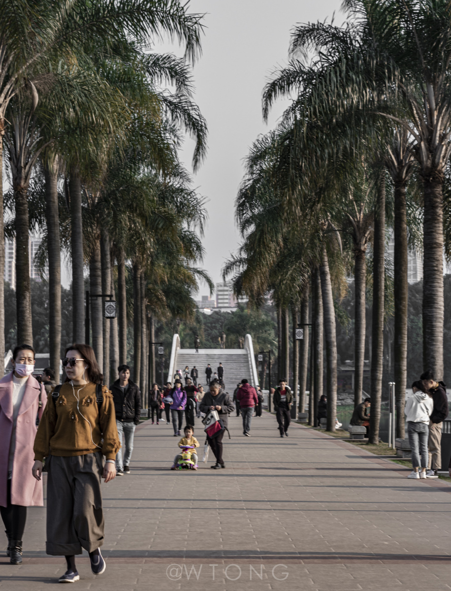 老图新修,南宁. - wtong1997 - 图虫