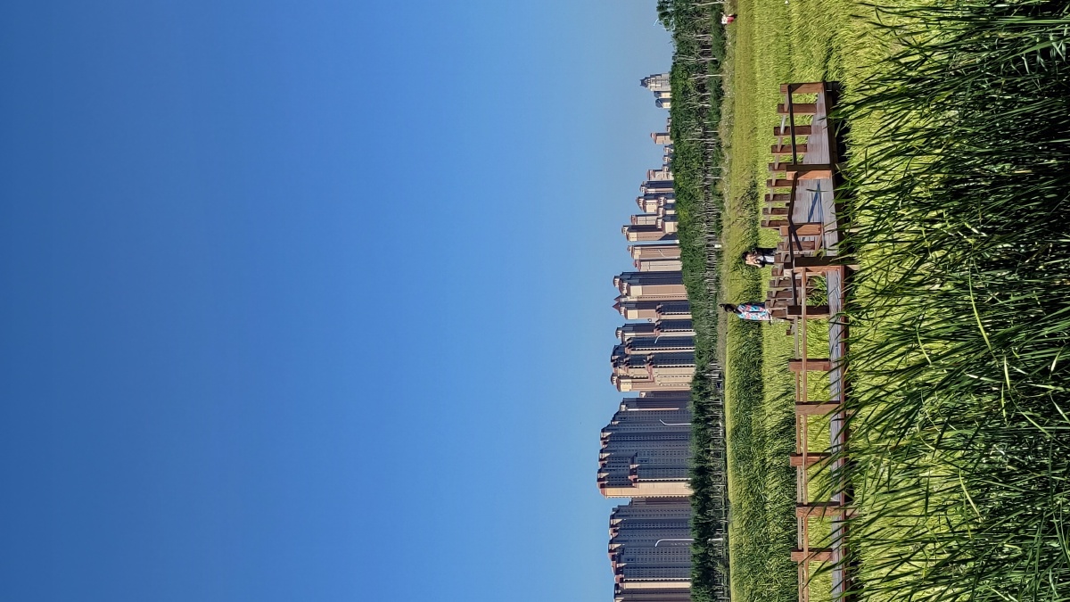 秋日稻香天津市津南区地铁一号线东沽站c号出口对面天津小站稻培育