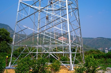 IMGP7230.jpg