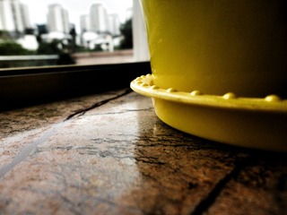 A Lonely Vase.jpg