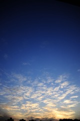 _DSC5749.jpg