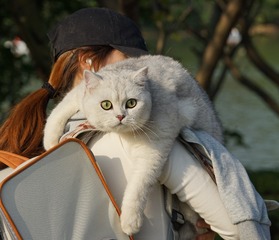 54530