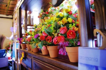 花房