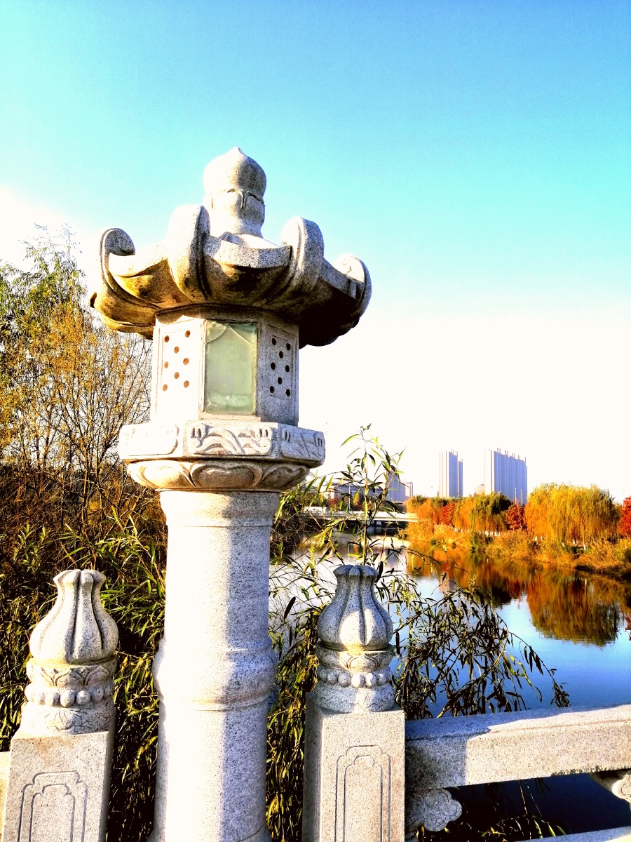 闻莺桥南通海安东洲公园一座拱挢依河而建两岸树木草丛时有莺啼雀鸣鸥