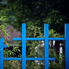 小区小景3
