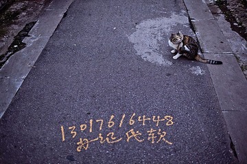 六角井巷8a