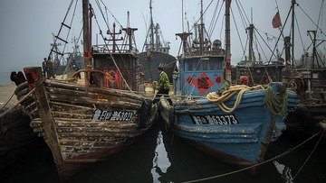 harbor18.jpg