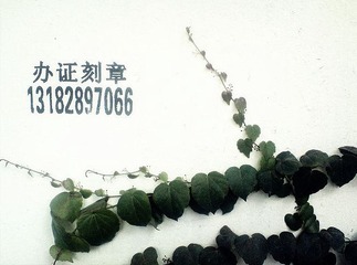 办证刻章
