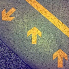 which way?