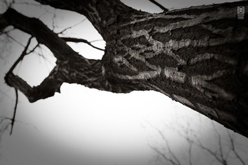 sadness11