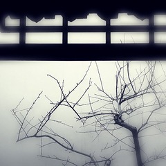 手机54