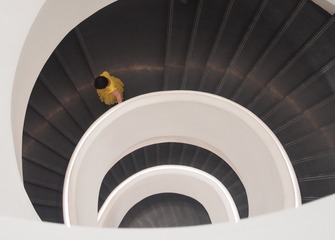1187352