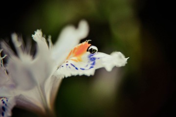 _DSC0171-1