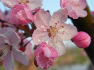 2010021