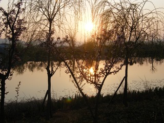 2010024