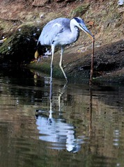 IMG_3604_