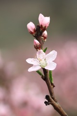 IMG_9773.JPG