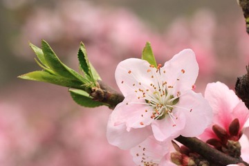 IMG_9786.JPG