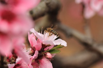 IMG_9836.JPG