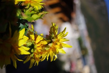 IMGP1311.JPG