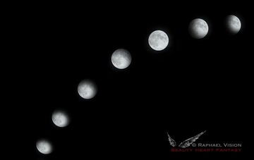 20110616-DSC_0014