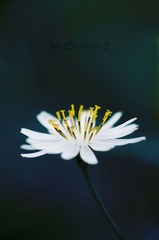 等待2