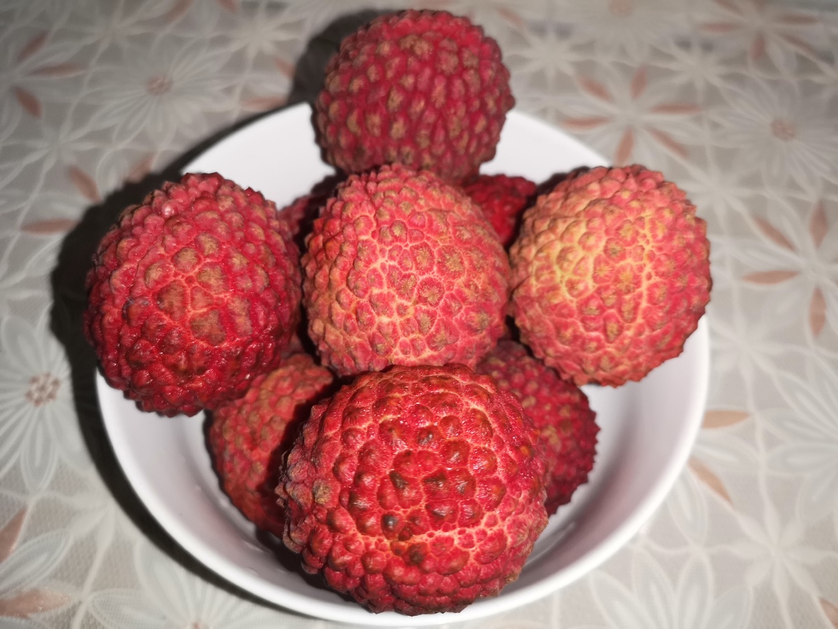 食荔枝罗浮山下四时春卢橘杨梅次第新日啖荔枝三百颗不辞长作岭南人