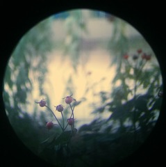 2014-04-14_10.04.17_1[1]