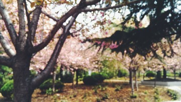 2014-04-02_12.39.12_1[1]