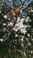 2014-03-24_09.39.14_1[1]