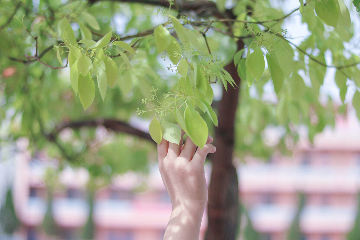 休闲的春日午后.