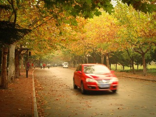 DSC07592.jpg