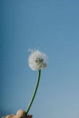 FC7698C3-B39C-4FA4-BE87-4C7819480E8A/L0/001
