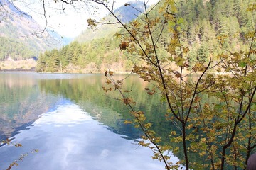IMG_6071.JPG