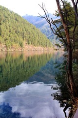 IMG_6074.JPG