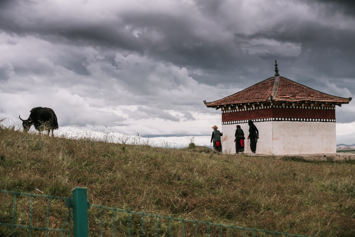 莲宝叶则,黄河九曲 - 二叔摄影