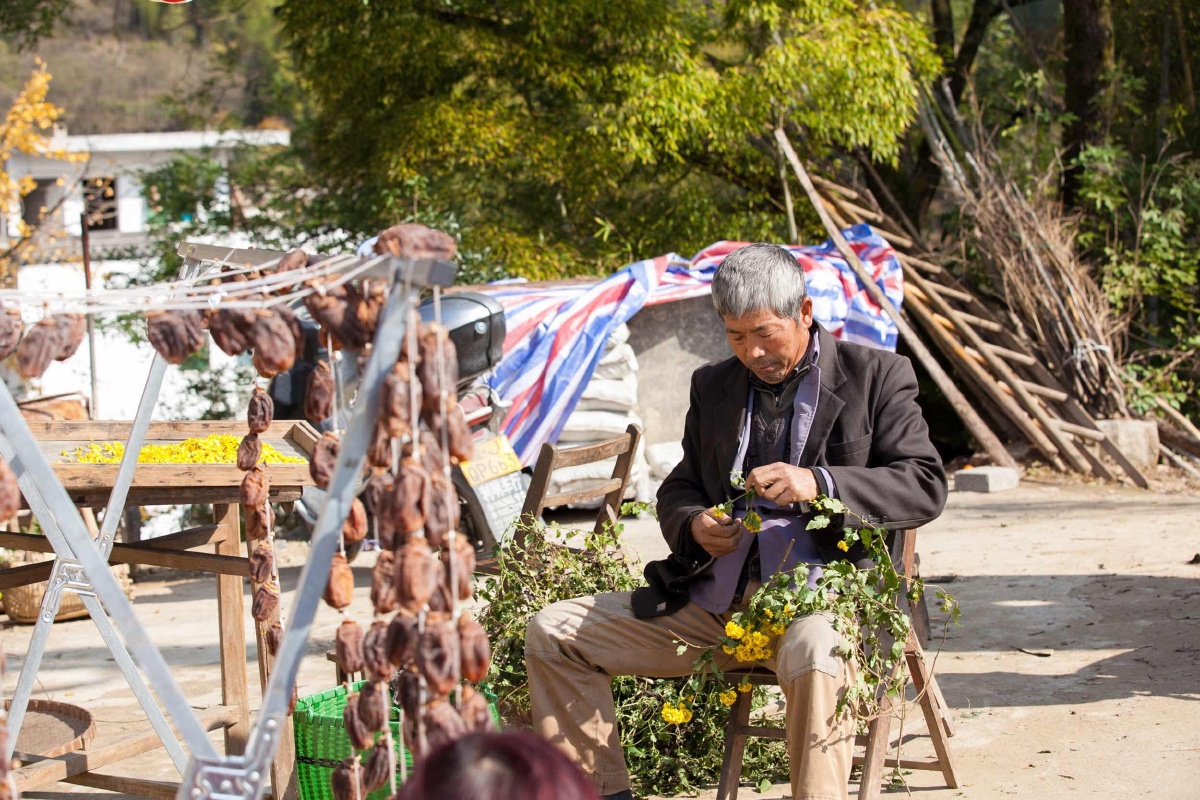 二叔摄影 - 图虫网 - 优质摄影师交流社区
