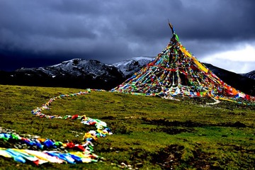_DSC0213.JPG
