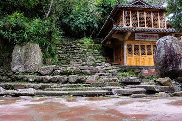 DSCF2447